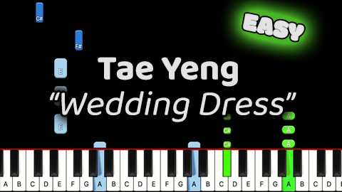 Tae Yeng – Wedding Dress – Easy