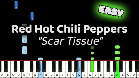 Red Hot Chili Peppers – Scar Tissue – Easy