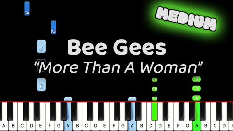 Beegees – More Than A Woman – Medium