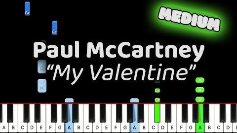 Paul McCartney – My Valentine – Medium