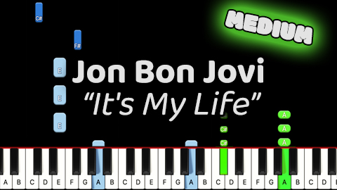 Jon Bon Jovi – It’s My Life – Medium