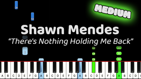 Shawn Mendes – There’s Nothing Holding Me Back – Medium