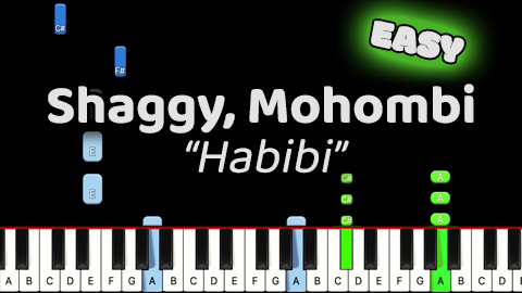 Shaggy Mohombi – Habibi – Easy