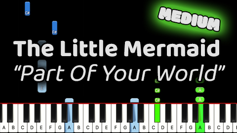 The Little Mermaid – Part Of Your World – Medium