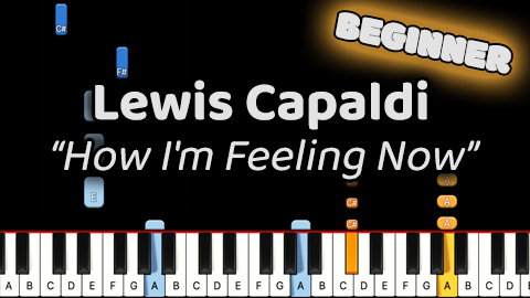 Lewis Capaldi – How I’m Feeling Now – Beginner