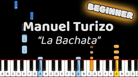 Manuel Turizo – La Bachata – Beginner