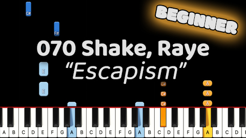 070 Shake, Raye – Escapsim – Beginner