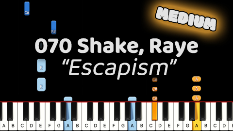 070 Shake, Raye – Escapsim – Medium