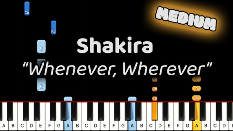 Shakira – Whenever, Wherever – Medium