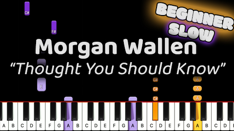 Morgan Wallen – Thought You Should Know – Beginner – Slow