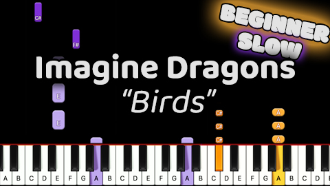 Imagine Dragons – Birds – Beginner – Slow