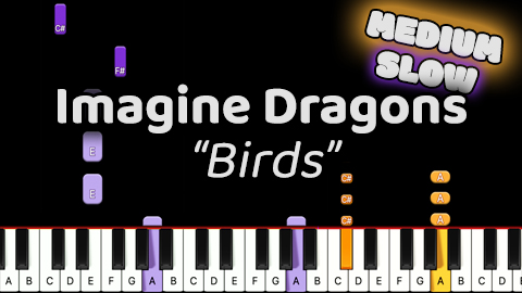 Imagine Dragons – Birds – Medium – Slow