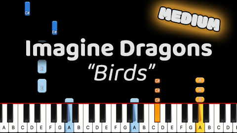 Imagine Dragons – Birds – Medium