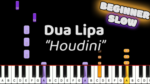 Dua Lipa – Houdini – Beginner – Slow