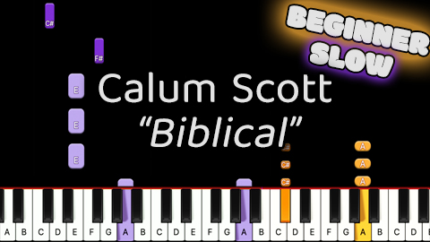 Calum Scott – Biblical – Beginner – Slow