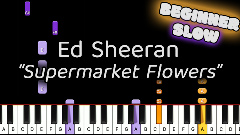 Ed Sheeran – Supermarket Flowers – Beginner – Slow