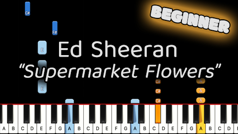 Ed Sheeran – Supermarket Flowers – Beginner