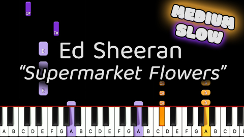 Ed Sheeran – Supermarket Flowers – Medium – Slow