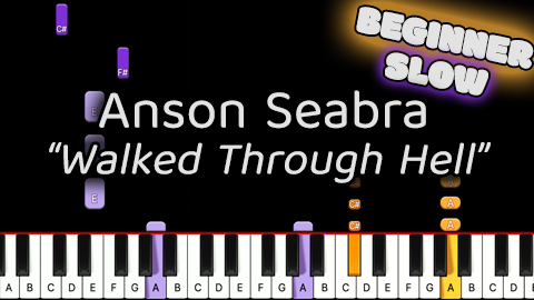 Anson Seabra – Walked Through Hell – Beginner – Slow